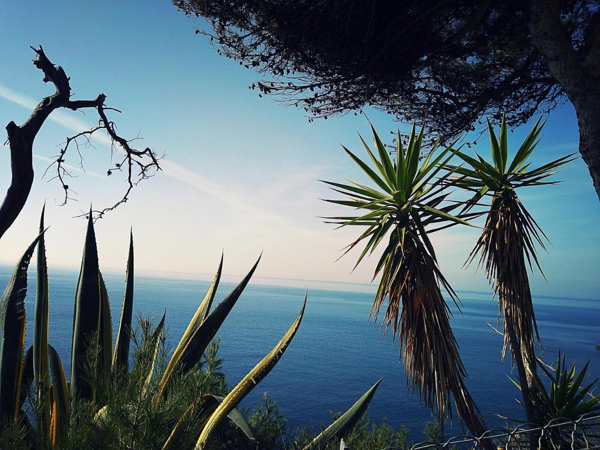 Appartement Calanque De Figuières, à 100 M, Paddle, Canoë, Parking, Wifi, *